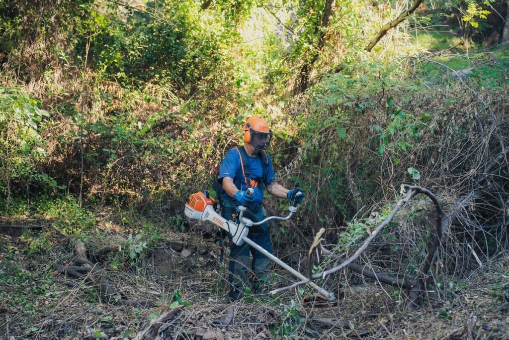 Débroussaillage à la débroussailleuse d'un talus envahi de branches