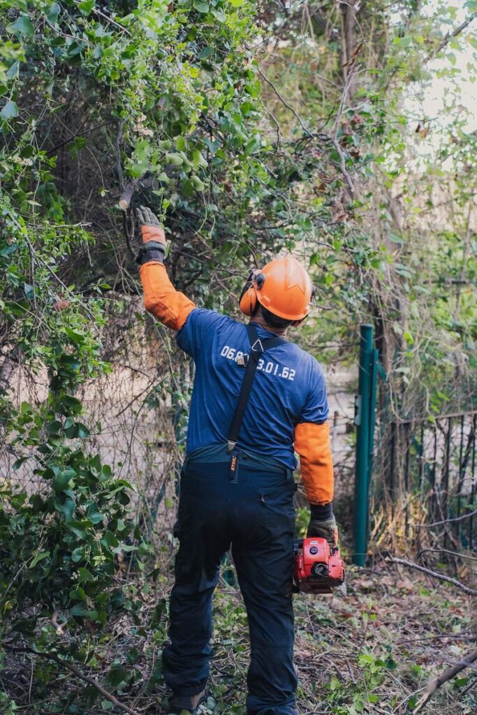 Frédéric repère les branches à couper sur un arbre