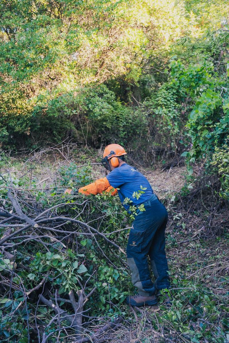 Déchets verts dans le Var : on ne brûle plus, alors on en fait quoi ?