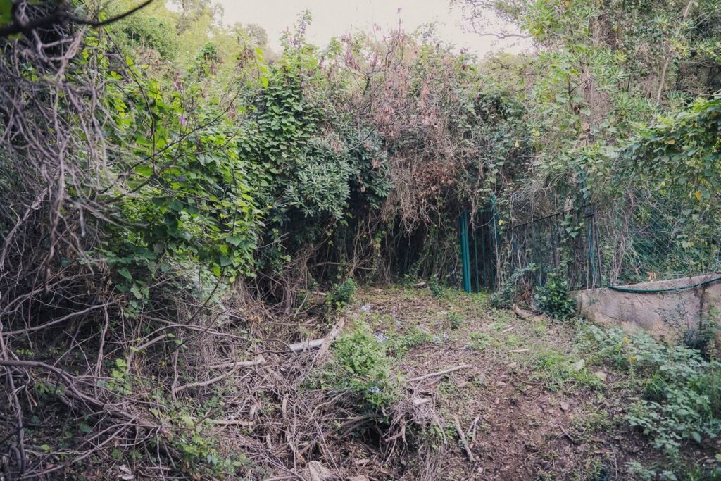 Terrain dégagé après le passage de Monet Petits Travaux